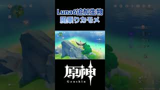 【原神】Luna6追加生物　風乗りカモメ #genshinimpact #short
