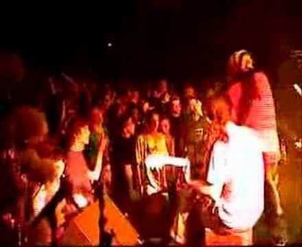 Monsieur Lezard à la Case à chocs