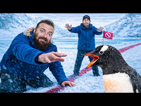 ვარღვევ ანტარქტიდის სულელურ წესებს