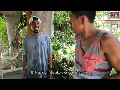 Pinagtripan Ni Baak Agijay Agassawa - Baak Andres