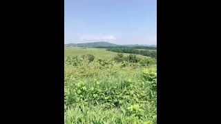 十勝にもある周氷河地形　宗谷だけじゃない　北海道