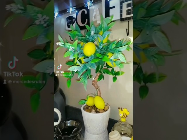Vídeo relacionado con LONGHAO Ramas De LimóN Artificial,Limones Amarillos Artificiales,Limones Artificiales,Limones De Fruta Falsa De SimulacióN,Ramitas De LimóN Artificiales,para DecoracióN De Mesa
