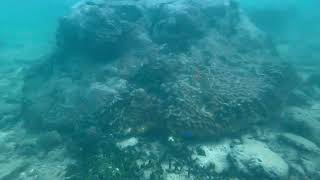 古宇利島的海灘浮潛