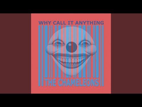 Anyone Alive? - The Chameleons