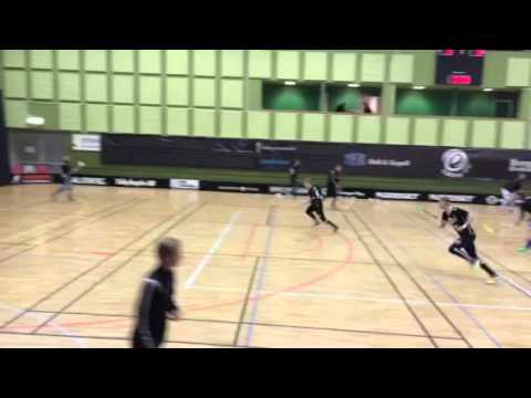 Allsvenskan norra innebandy Täby FC - Hudik