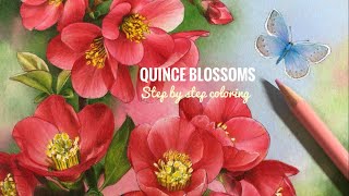 SPRING - Quince Blossoms | Step by Step Coloring // Chris Cheng