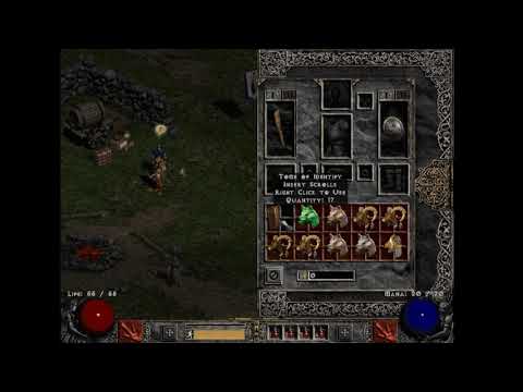 @fLp Druid Pelts Can Change Color after ID - Diablo 2