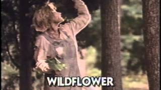 Wildflower (1991) Video