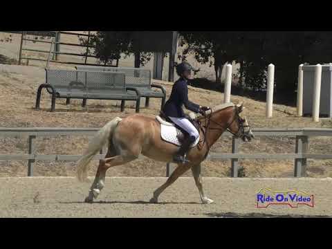 192S Tessa Welliver on Creme Brulee Intro Rider Show Jumping Woodside August 2020
