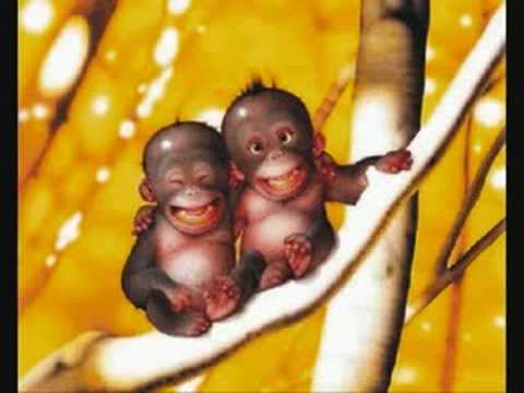 Andrej Šifrer-Za prijatelje