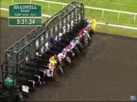 2013 Shadwell Turf Mile