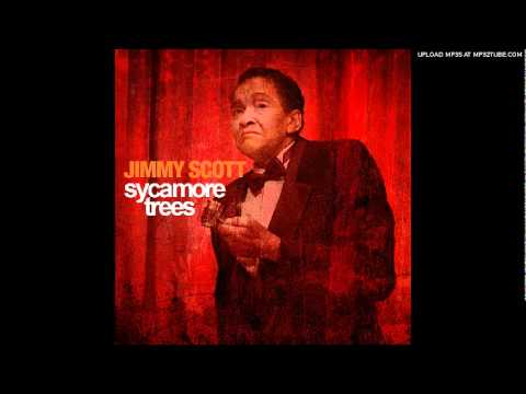 Jimmy Scott - Sycamore Trees