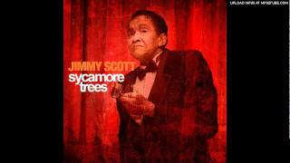 Jimmy Scott - Sycamore Trees