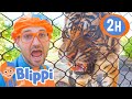 2 HOURS OF BLIPPI ANIMALS | Best Animal Videos for Kids | Educational Videos for Kids | Blippi Toys