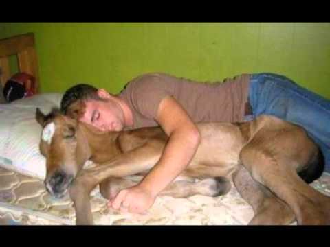 Les jingles de l'ADC - Wazzuf