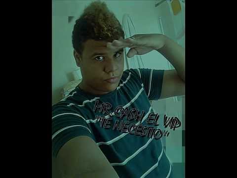 Mr.Cash El VIP - Te Necesito