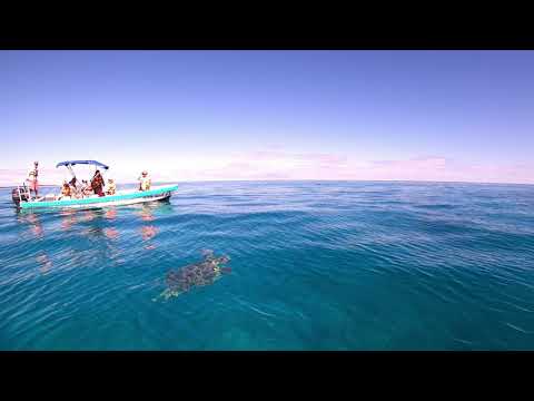 Once in Mexico. Sian Kaan. Lagoon, turtle and stingray