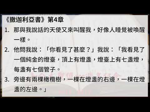 #38 【撒迦利亞書】【有聲聖經字幕版】中文和合本聖經100週年紀念