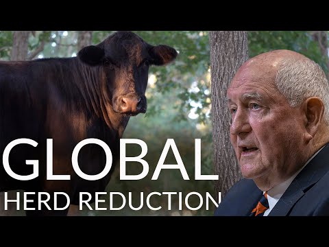 GLOBAL HERD REDUCTION | Beef Prices Will Climb In 2020
