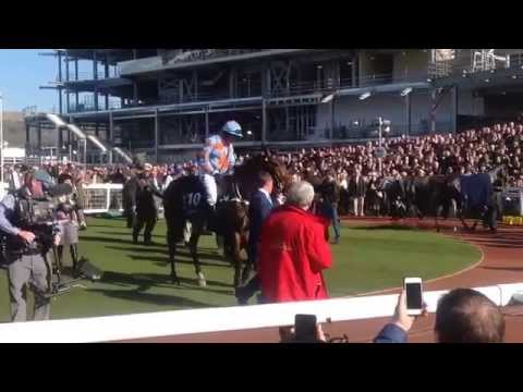 Un de Sceaux returns to the winning enclosure after the Arkle..Champion Chase 2016 winner ?