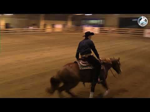 NRHA Derby Open You Can Slide 3 2018 /   Łukasz Czechowicz / CSG Magnifique Gun96