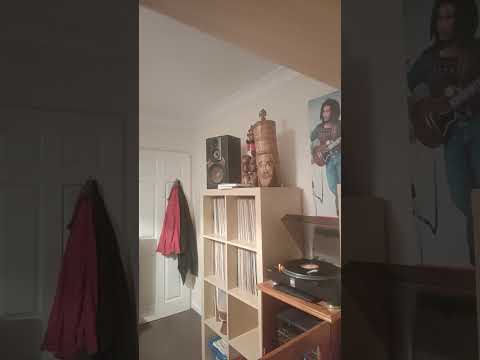 Aqua Levi And The Roots I Mansion Gather My Children