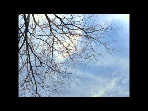 Compta amb mi - Txarango (Cover Aran Salvans)