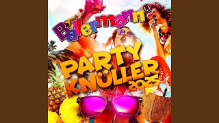 D'r Mann met d'r Flitsch