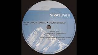 Seafoam - Sunday Descent (Håkan Lidbo Remix)