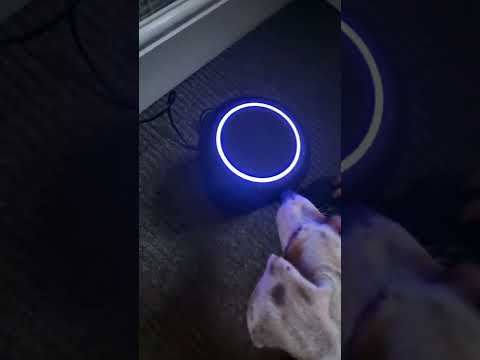 echo studio 😃😃😃😃