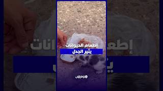 إطعام الحيوانات يثير الجدل.. مواطنون يطالبون بمراجعة مقتضيات قانون 19.25 thumbnail