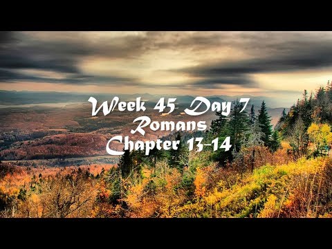 Audio Bible Reading Plan - Week 45 Day 7 (Romans 13-14)