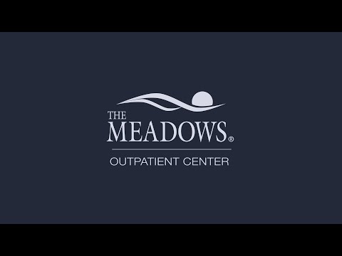The Meadows Outpatient Chicago thumbnail