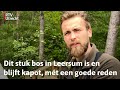 Na de valwind lag het bos in puin, en dat blijft dus zo | RTV Utrecht