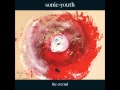 Thunderclap For Bobby Pyn - Sonic Youth