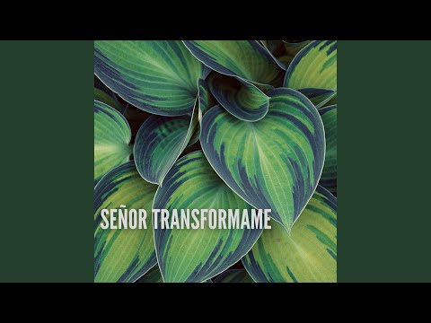 Señor Transformame