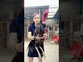 Ayam Pukul Mati Subscribe