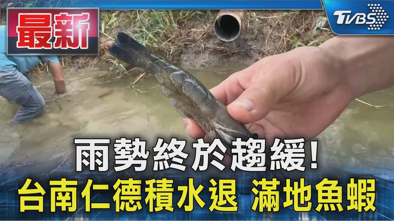 雨勢終於趨緩! 台南仁德積水退 滿地魚蝦|TVBS新聞 @TVBSNEWS01