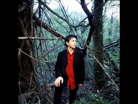 Denez Prigent - Dañs