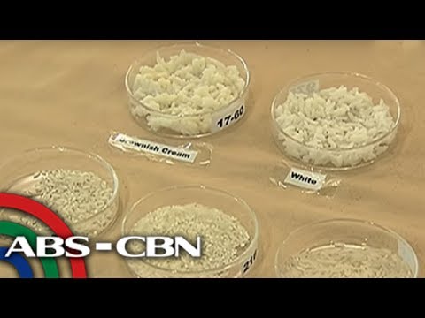 Kung paano mawalan ng gana sa pagkain Gamit lubid maaalis ang tiyan taba
