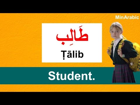 120 ARABIC Words for Everyday Life | Basic Vocabulary | Learn Arabic - Learn English #3 تعلم العربية
