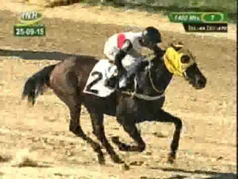 Resumen Viernes, 25 de Septiembre de 2015 - Valencia