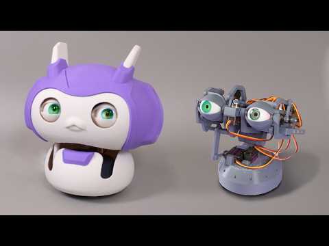 Building a Robot that Sees (Through its Own Eyes)