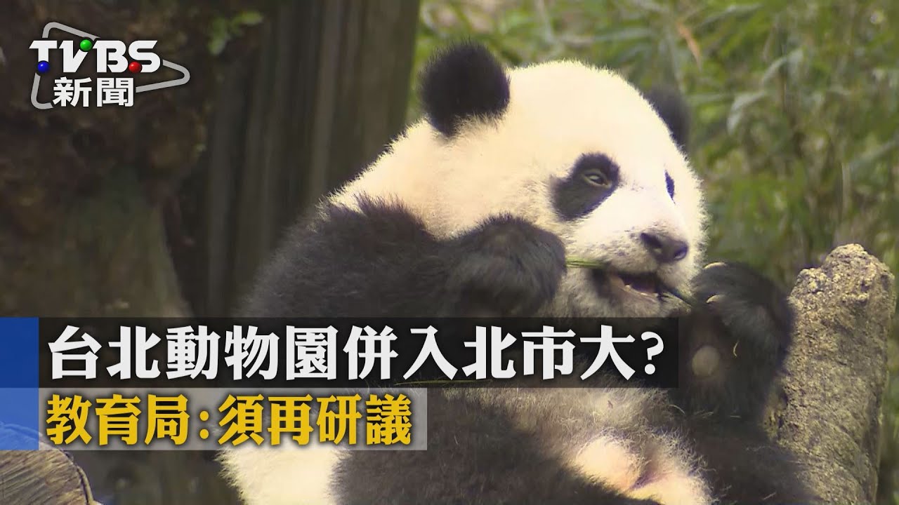 台北動物園併入北市大？　教育局：須再研議