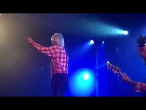 Die Tolle Leute - Hallelujah