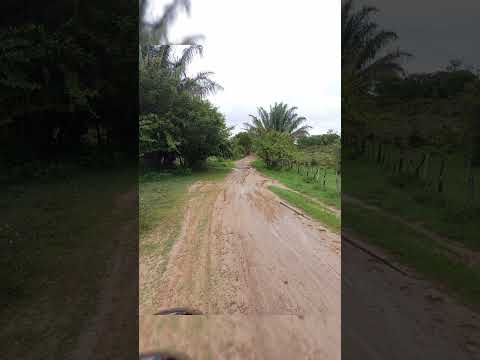 28 de octubre de 2025