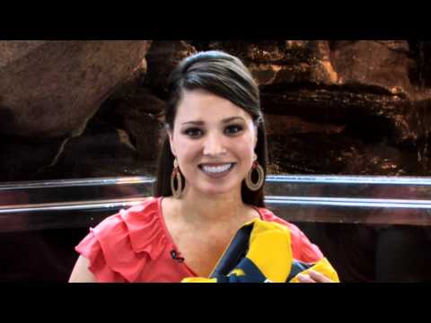Water Safety Public Service Announcement featuring Miss Arkansas 2010, Alyse Eady