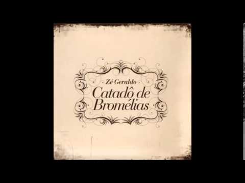 Catadô De Bromélias video