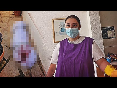 HOTEL CLEANER TRYS TO KIDNAP MY SON IN SPAIN!! (Police Called)