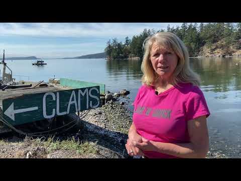 Digging Oysters and Clams at Buck Bay Shellfish Farm